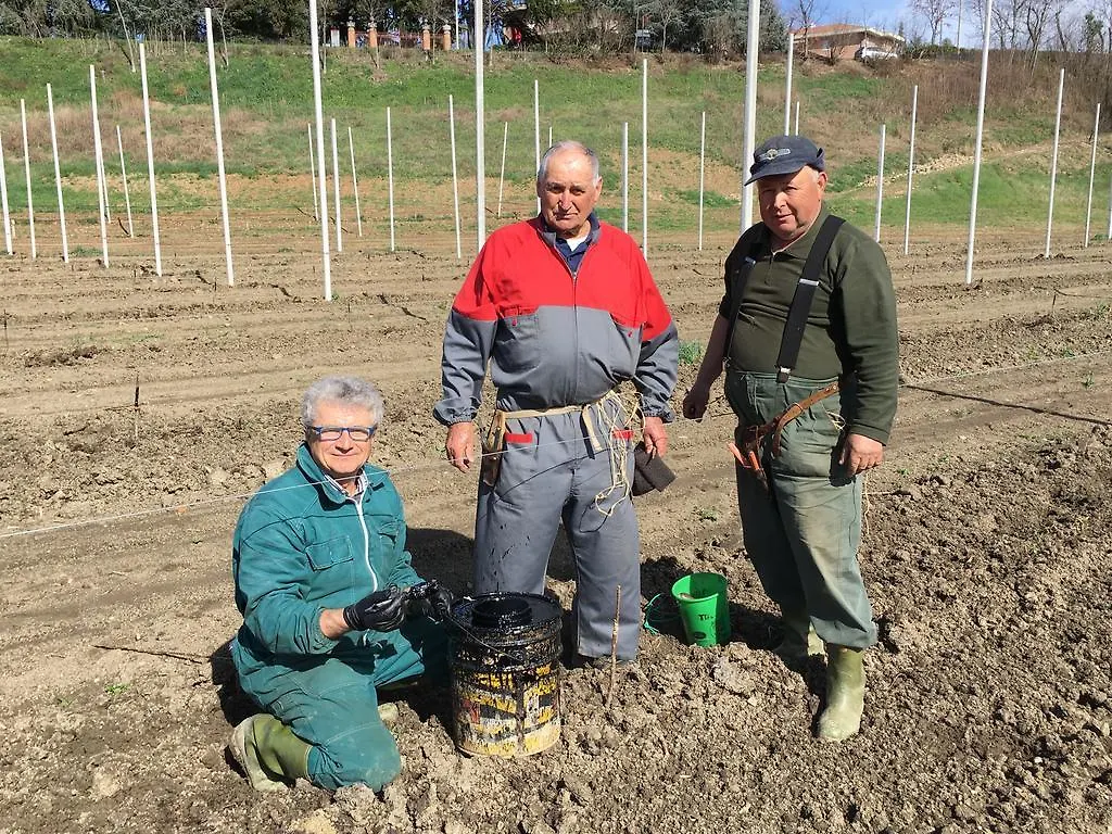 Alojamento de Acomodação e Pequeno-almoço La Corte D'Emilio B&B Vignola